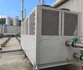 垃圾發(fā)電廠臭氧冷卻風(fēng)冷螺桿冷水